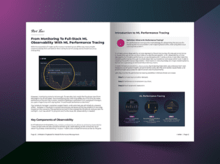 Model Performance Management Whitepaper