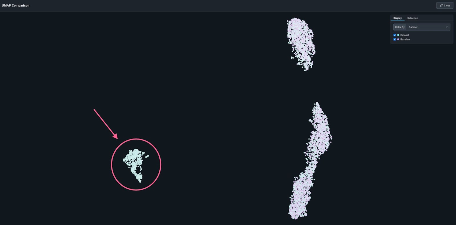 2D UMAP visualization: new pattern identified