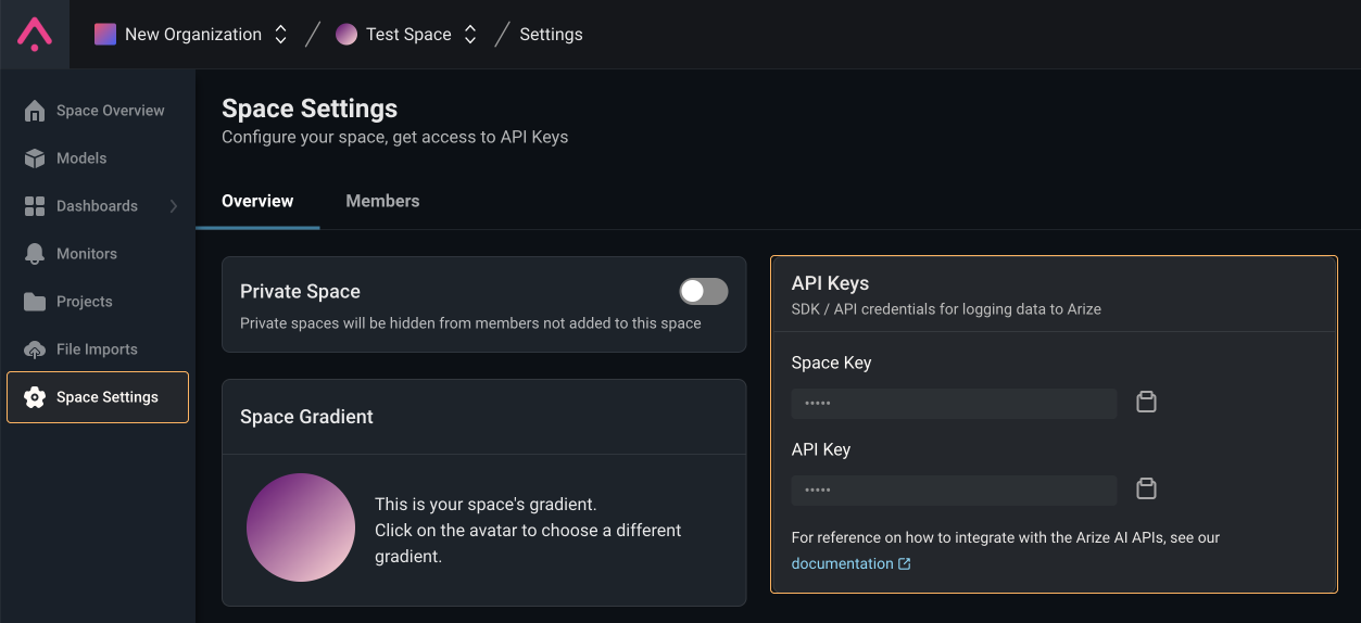 import and setup arize client process