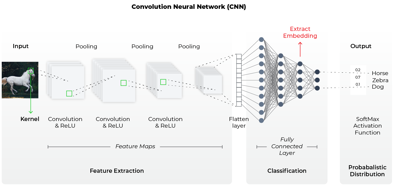 convolutional neural network