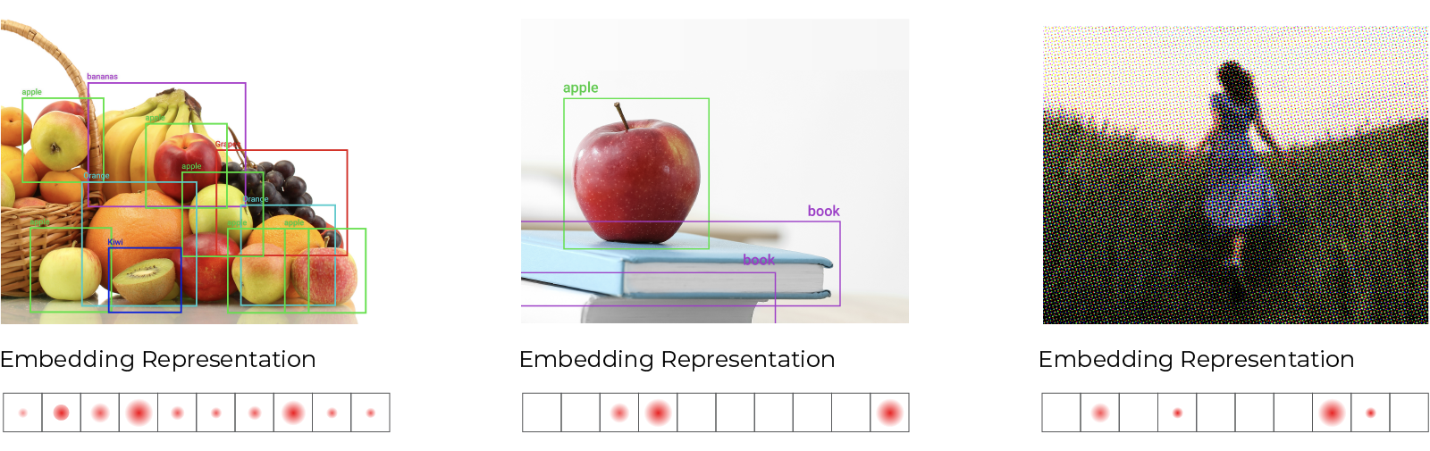 Embedding vector representations