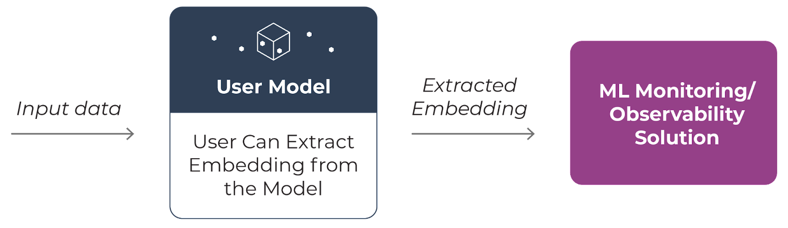 extract embedding directly from user model