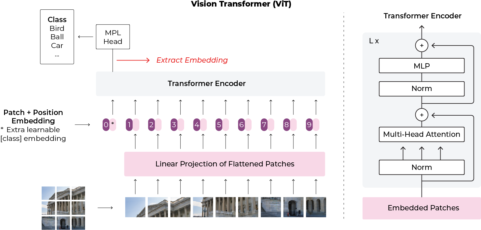 vision transformer model