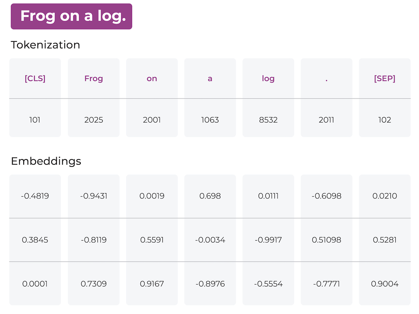 word embeddings with tokenization example