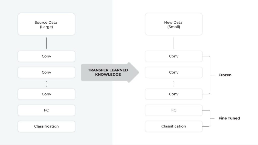 Transfer Learning: Practical Tutorial with TensorFlow and Implications ...