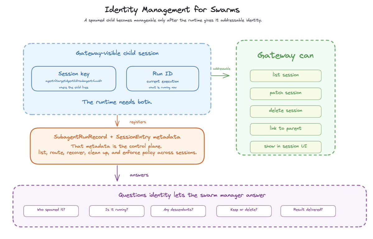 Diagram titled “Identity Management for Swarms,” explaining how spawned agent sessions become addressable and manageable. At the top, a dashed blue box labeled “Gateway-visible child session” contains two required identifiers: “Session key” (agent/target/agentID/subtask/runID; where the call lives) “Run ID” (current execution; what is running now) A note states: “The runtime needs both.” An arrow labeled “addressable” points to a green dashed box on the right titled “Gateway can,” listing actions the system can take once a session is identifiable: list session, patch session, delete session, link to parent, and show in session UI. Below the blue box, an orange box shows “SubagentRunRecord + SessionEntry metadata,” described as the control plane used to list, route, recover, clean up, and enforce policy across sessions. At the bottom, a purple dashed section titled “Questions identity lets the swarm manager answer” includes examples: who spawned it, is it running, any descendants, keep or delete, and result delivered.
