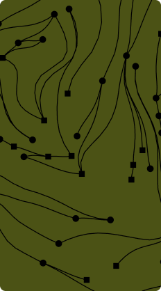 Black contour lines on olive