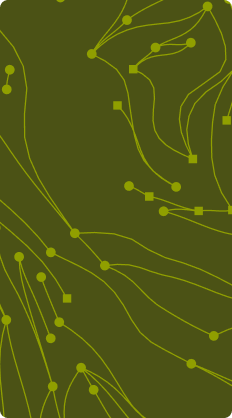 Lime contour lines on olive