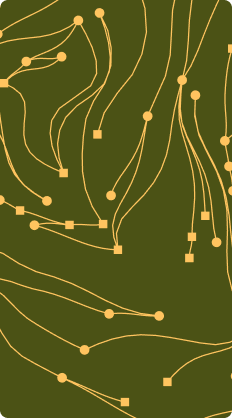 Gold contour lines on olive