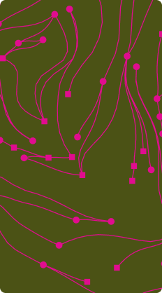 Pink contour lines on olive