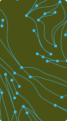 Cyan contour lines on olive